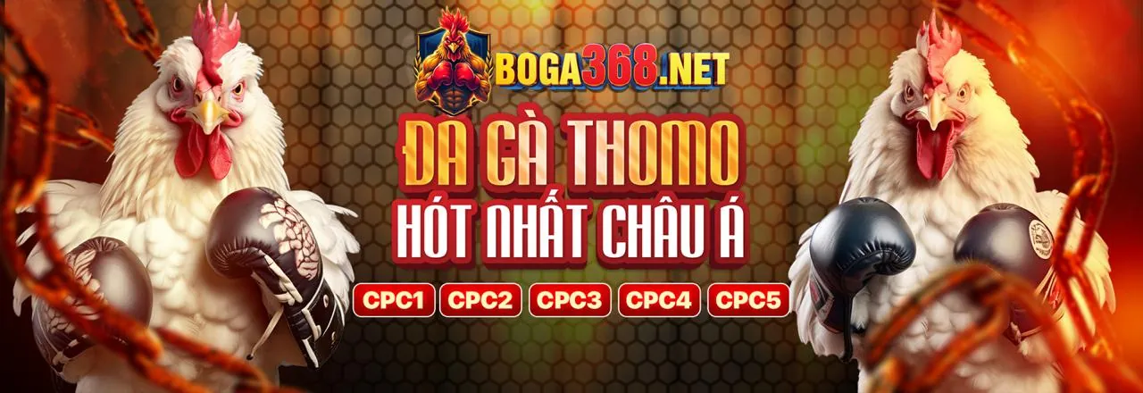 Vấn đề truy cập Win333